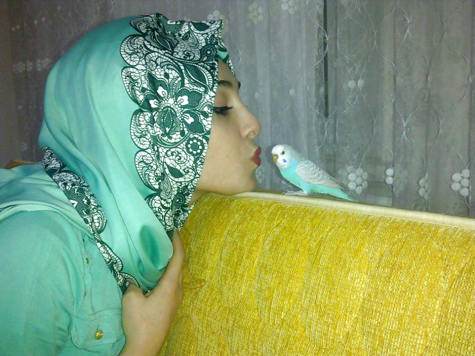 Turbanli árabe turco hijab baki indio
 #31138074
