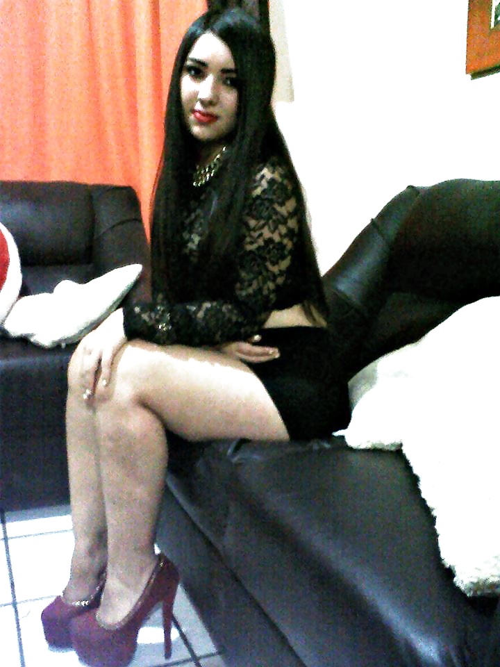 カラスの巣窟
 #26484079