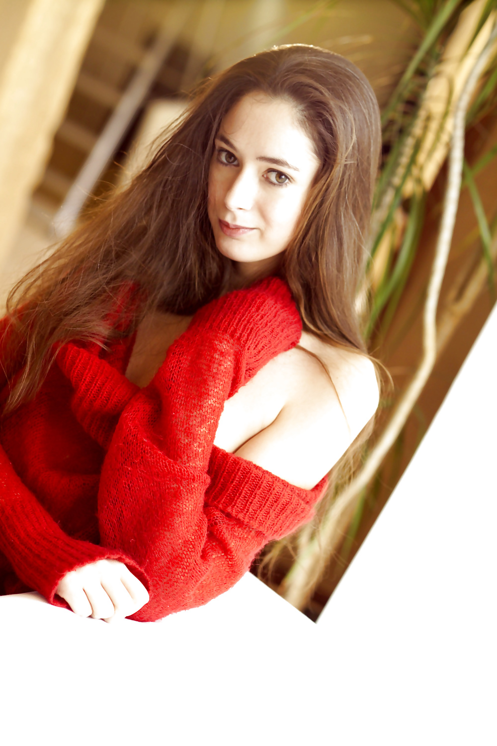 Alison #39658480