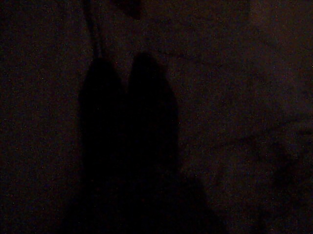 Lounging around #40134938