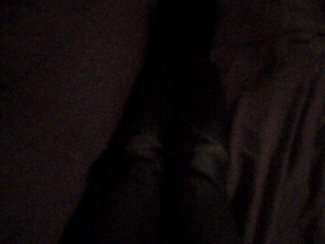 Lounging around #40135059