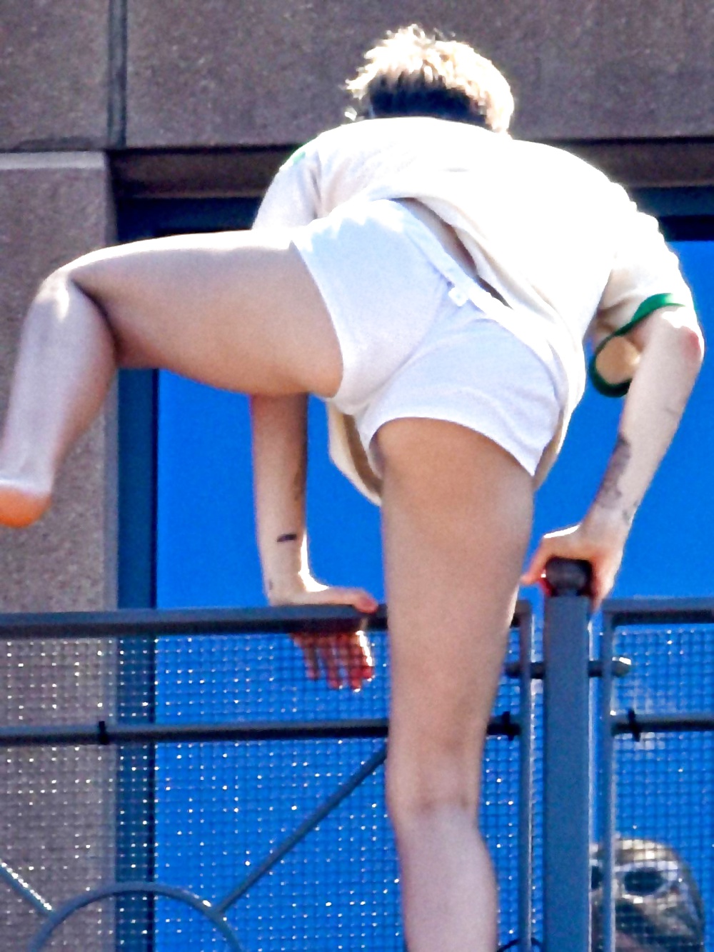 Miley Cyrus Topless Sunbathing  #32107669