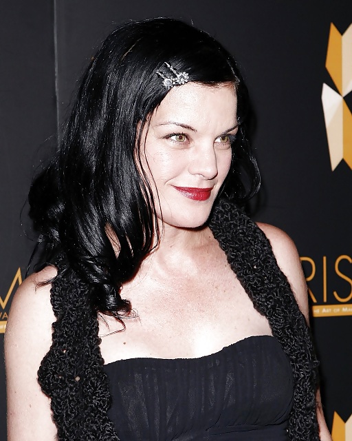 Pauley perrette 2
 #40240182