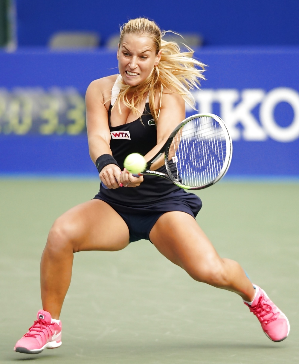 Dominika cibulkova
 #31931108