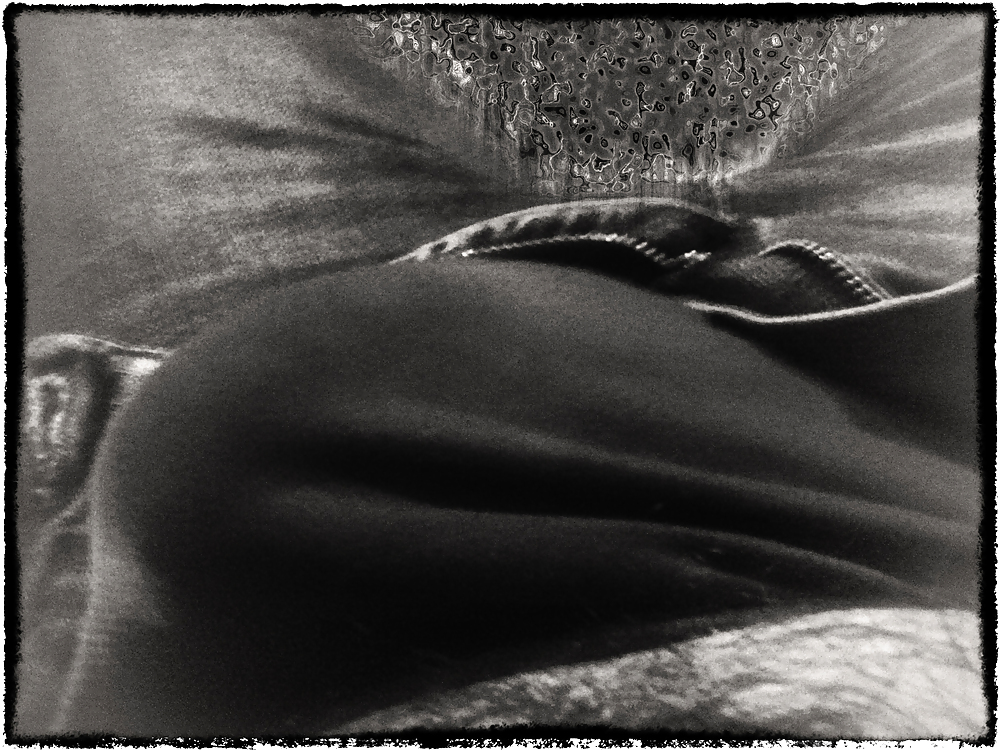 Coño soñando
 #25035134