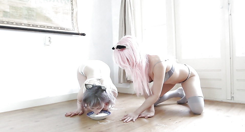 Cat girlz vi
 #39716421