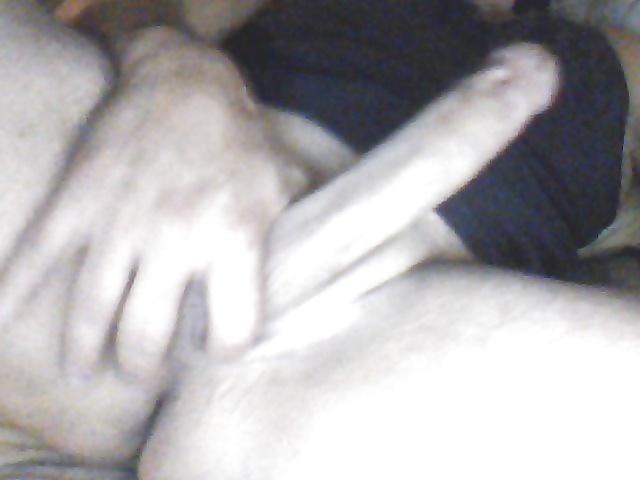 Cock #31280540