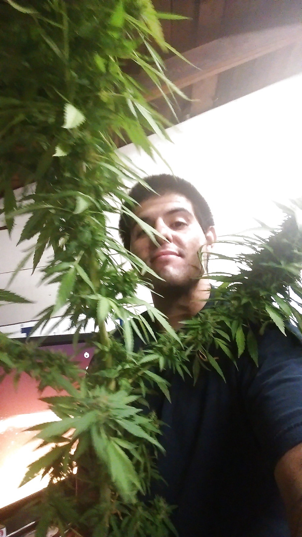 How i look. #32140339