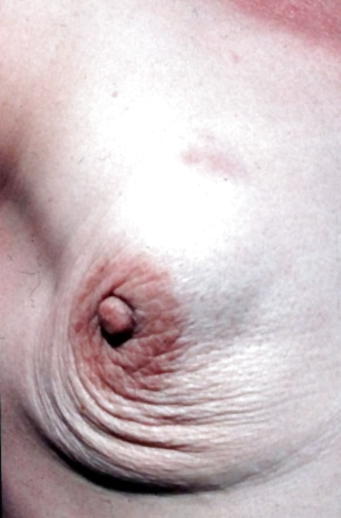 Types of bodies that excite me part 11 #39534333