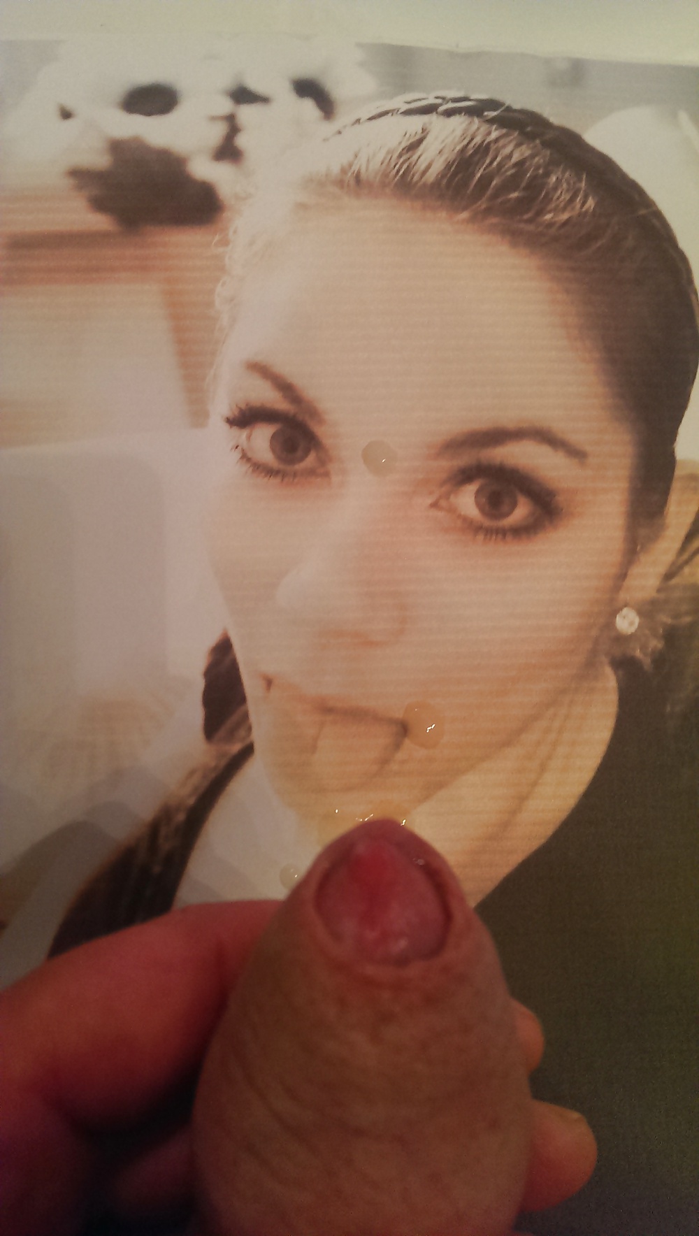 Tribut Sandra #26362241