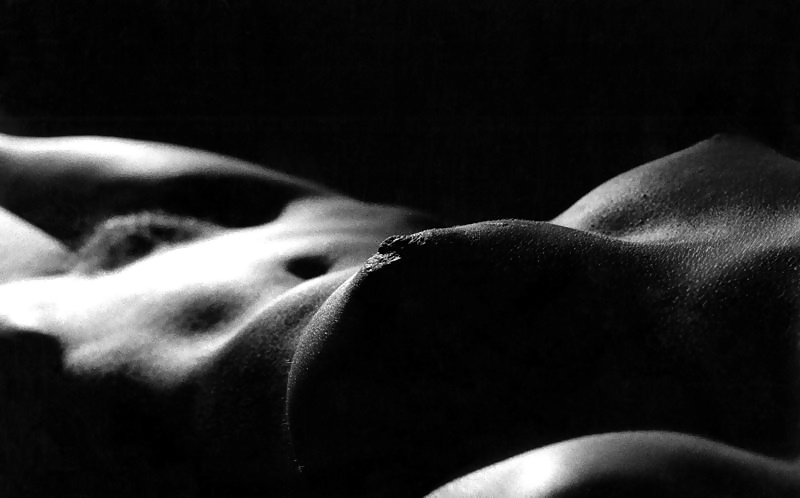 Shape of the body #31020128