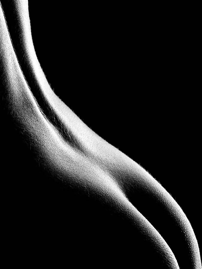 Shape of the body #31020133