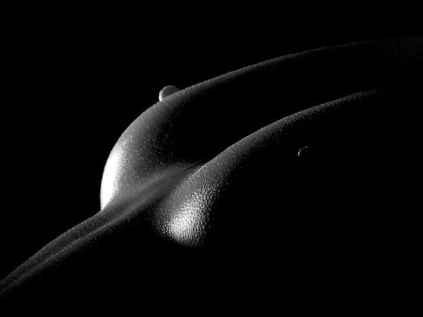 Shape of the body #31020141