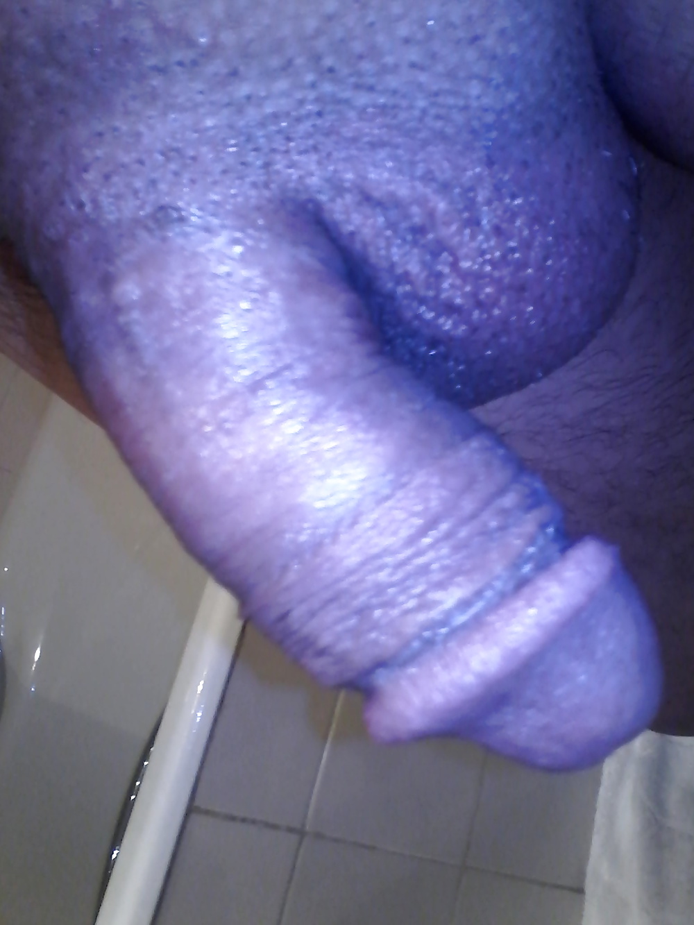 アムール
 #33052889