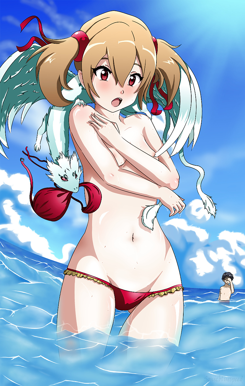 Silica from Sword Art Online #26484683