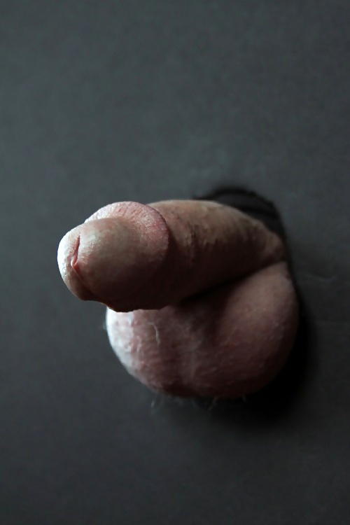 Suckable cocks #40739222