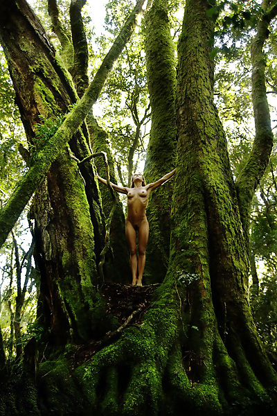 It's impossible to imagine ... only to see.. (NM) #33832650