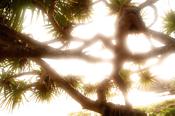 It's impossible to imagine ... only to see.. (NM) #33832673