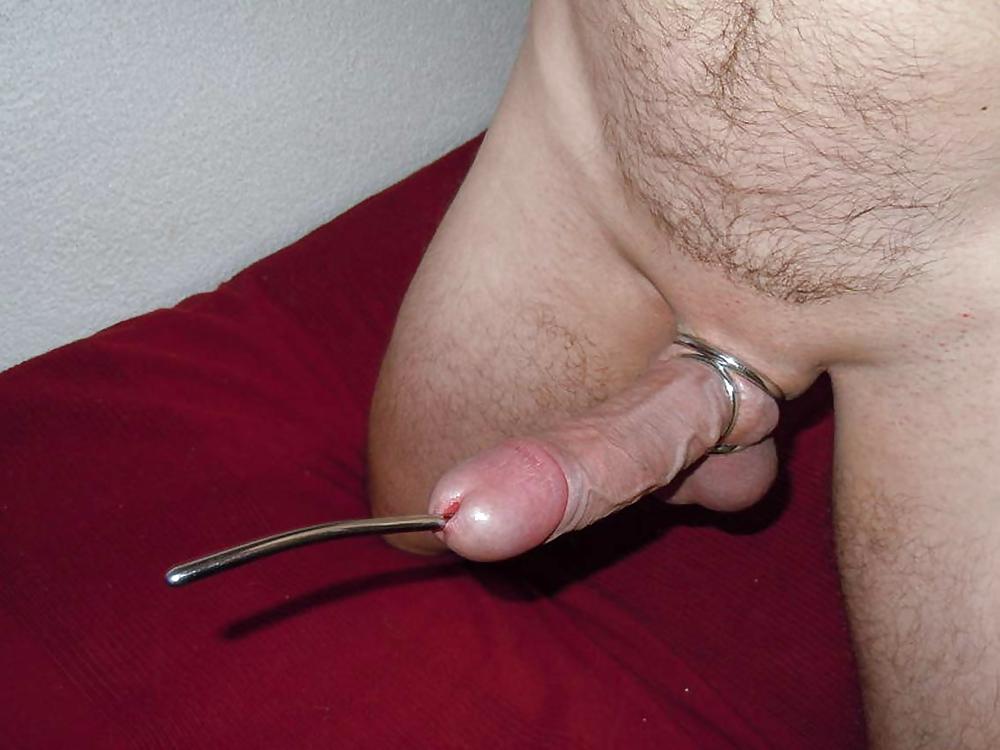 ,Cocks Balls Torture #22879904