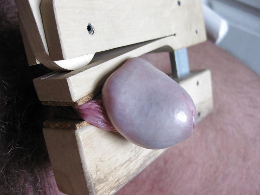 ,Cocks Balls Torture #22879942