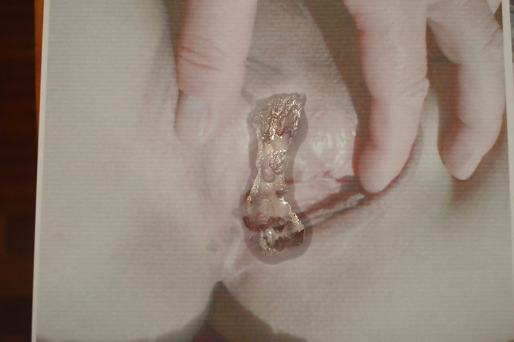 Tributo x vengo
 #28613094