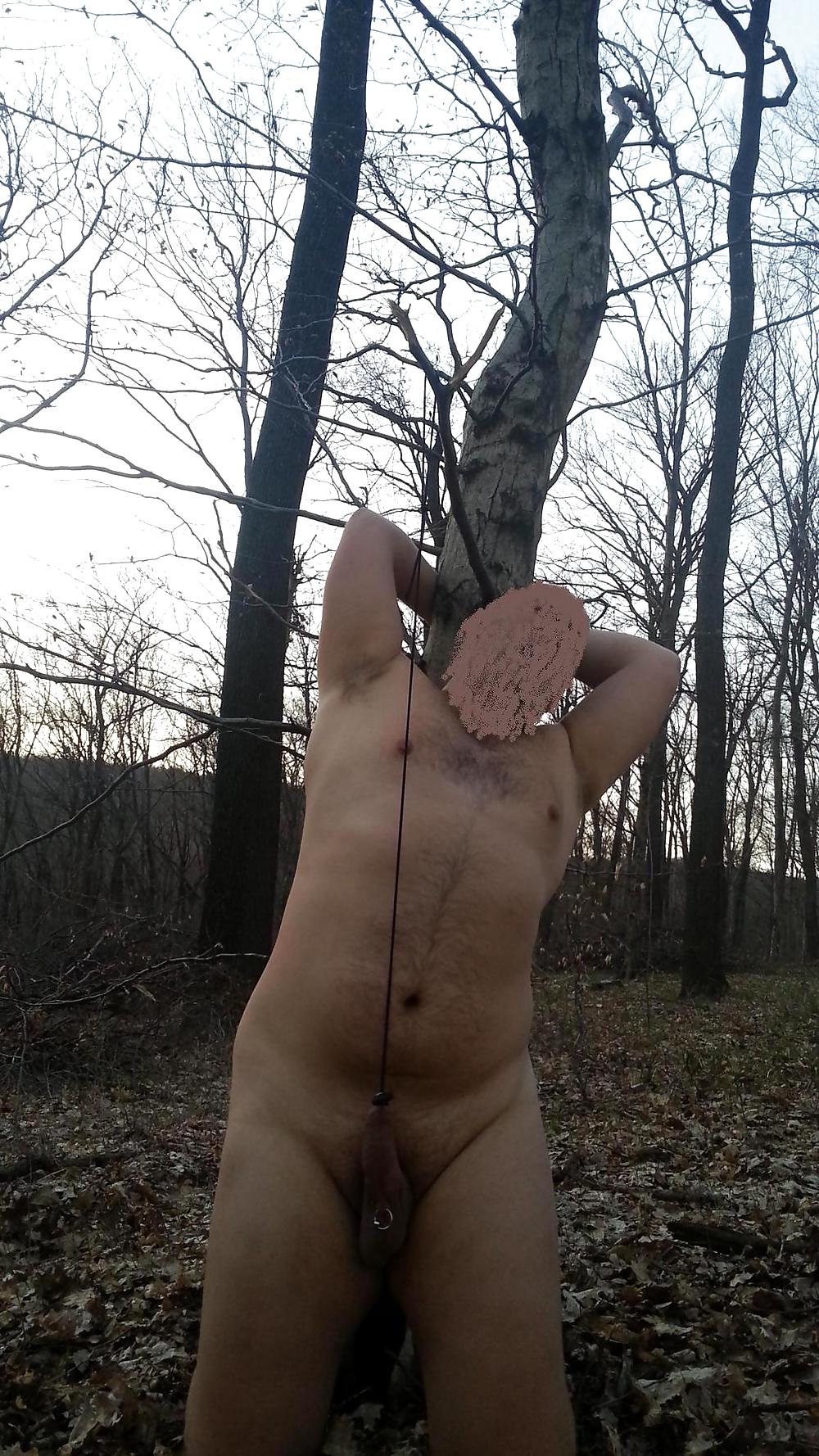 Esclavo bisexual en el bosque
 #37743971