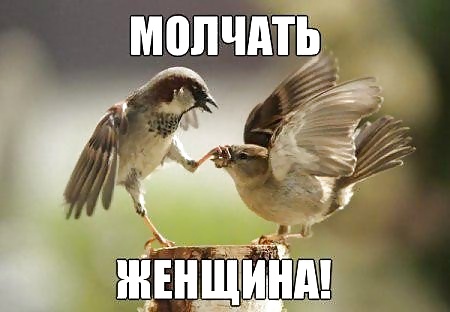 Russian Jokes #40221264