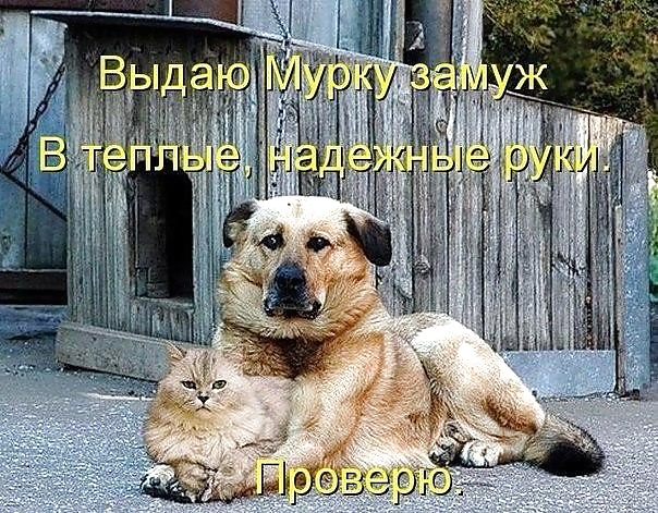 ロシアンジョーク
 #40221273