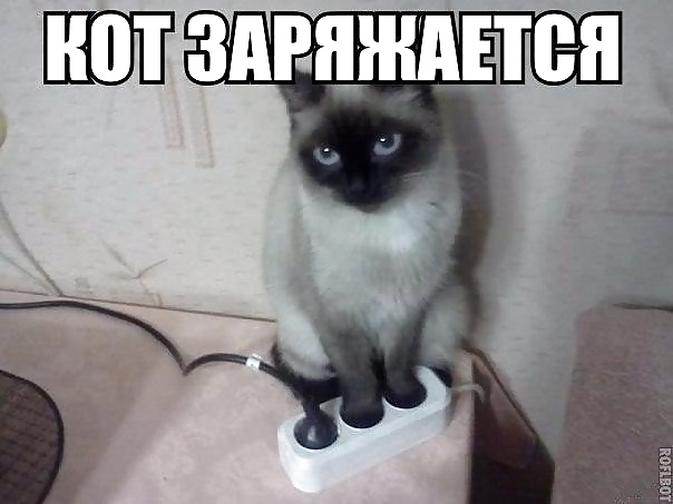 ロシアンジョーク
 #40221291