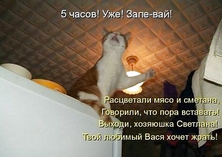 ロシアンジョーク
 #40221297