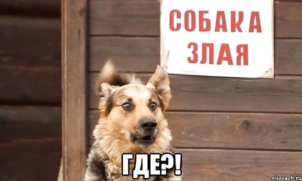 ロシアンジョーク
 #40221339