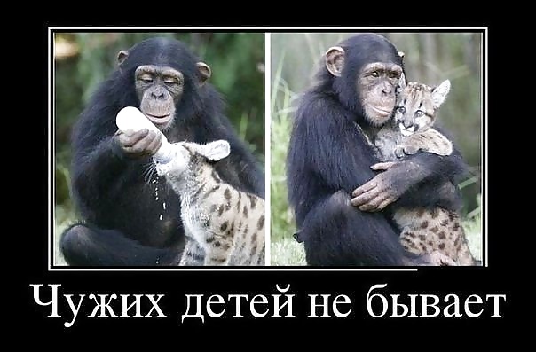 ロシアンジョーク
 #40221398