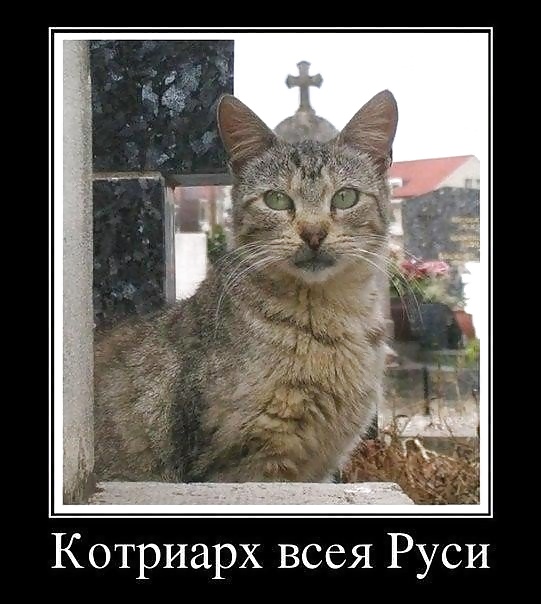 Russian Jokes #40221496