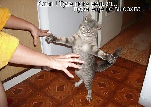 ロシアンジョーク
 #40221507