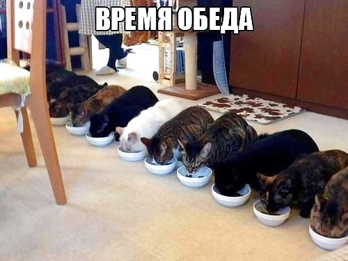 Russian Jokes #40221611