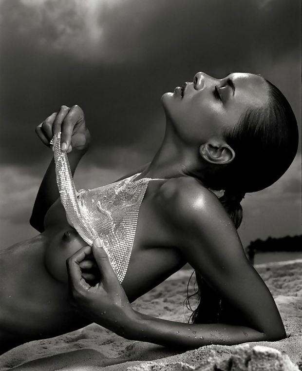 Colas de caballo 3
 #29160142