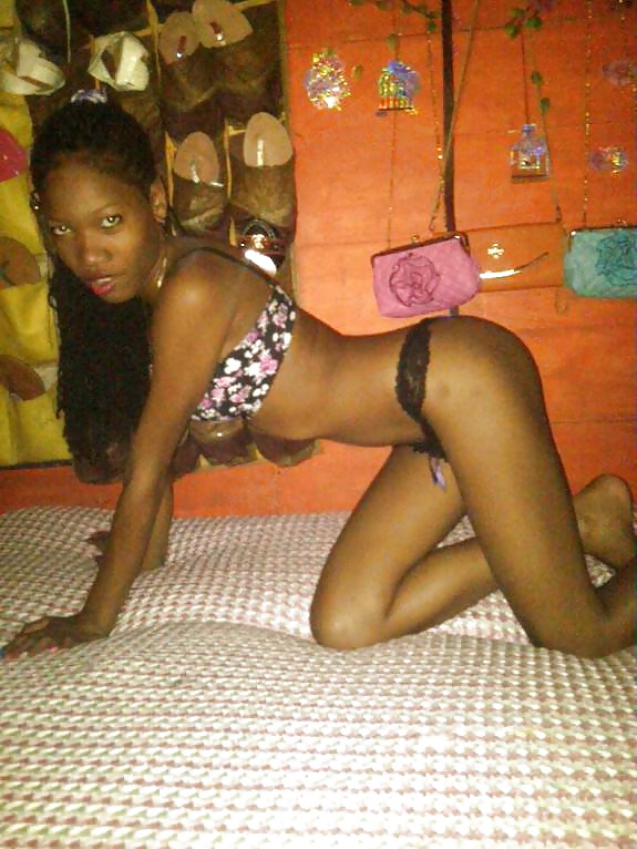 Perritas dominicanas #32429615