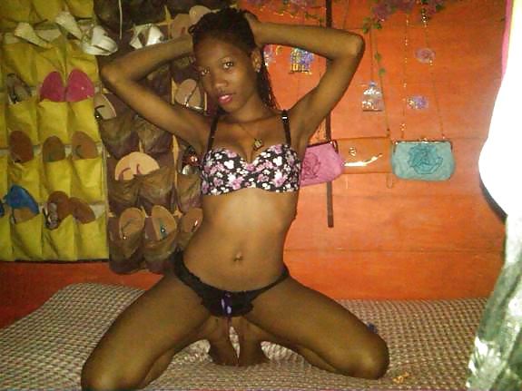 Perritas dominicanas #32429619