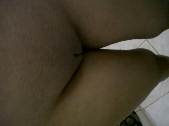 Perritas dominicanas #32429681