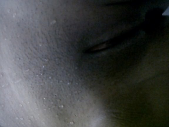 Perritas dominicanas #32429688