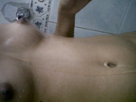 Perritas dominicanas #32429690