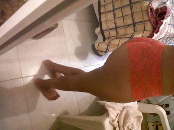 Perritas dominicanas
 #32429696