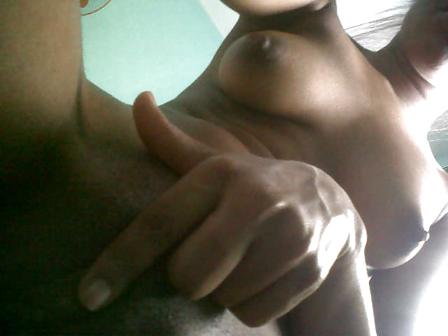 Perritas dominicanas #32429777