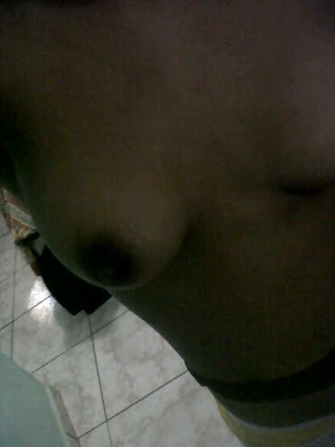 Perritas dominicanas #32429783