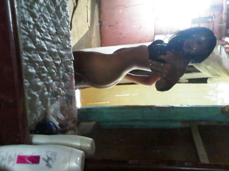 Perritas dominicanas
 #32429801