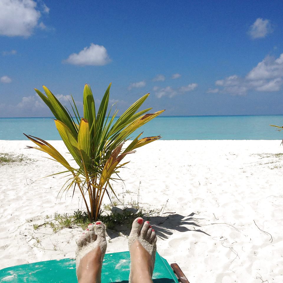 El fuego puede persistir
 #37378720