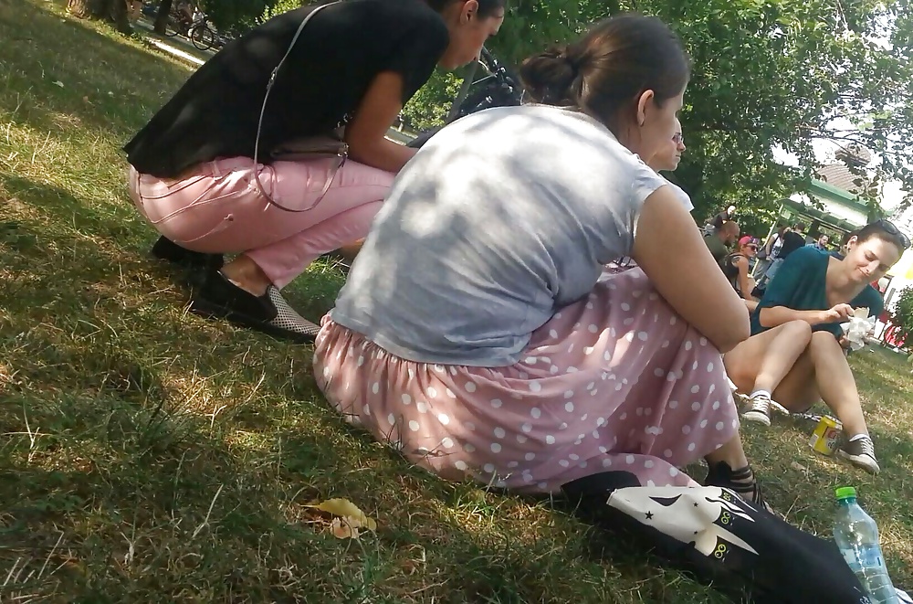 Spy viejo + joven en la hierba verde y el picnic rumano
 #38840431