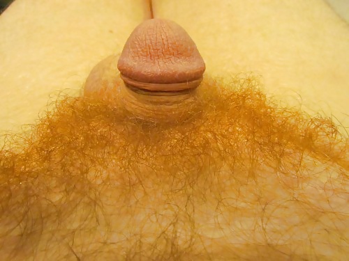 Jjmontana close up shots of ginger body hair #31824862