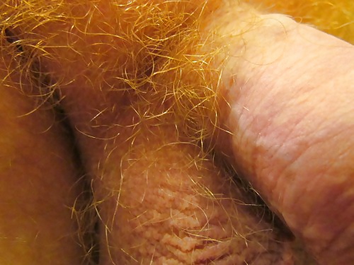 Jjmontana close up shots of ginger body hair #31824863