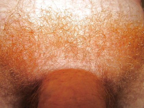 Jjmontana close up shots of ginger body hair #31824864